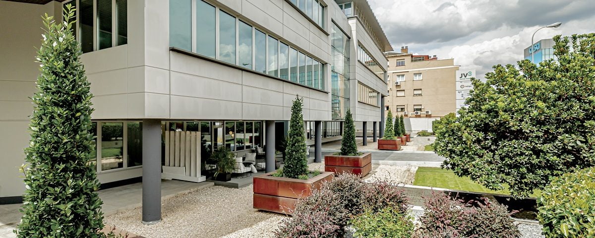 Descubre el Invernadero Secreto de Madrid en un Edificio de Oficinas