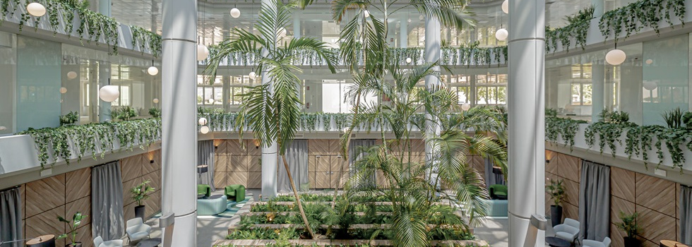 Un invernadero escondido en un edificio de oficinas de Madrid